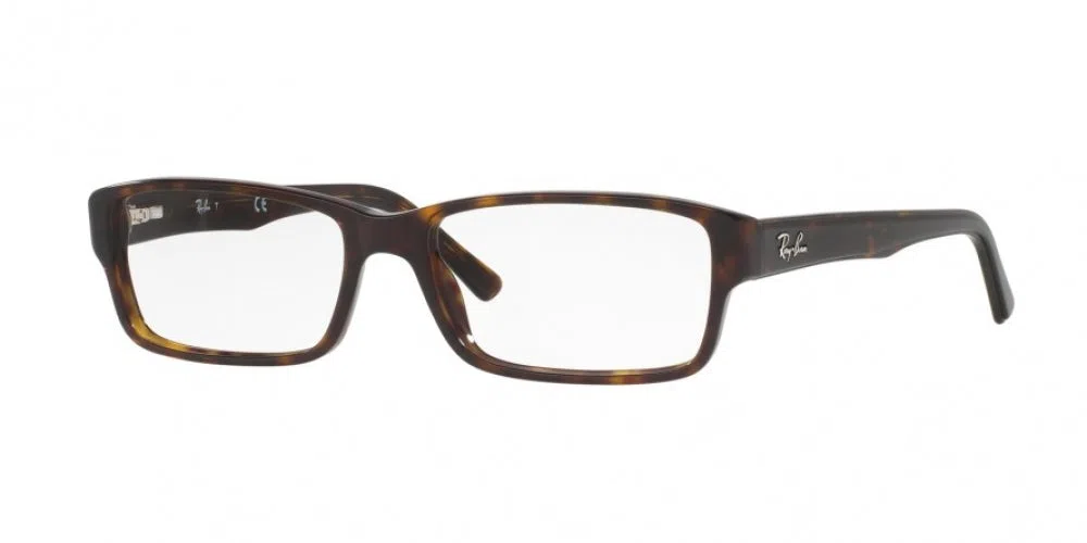 Ray-Ban 5169 Eyeglasses - view 6